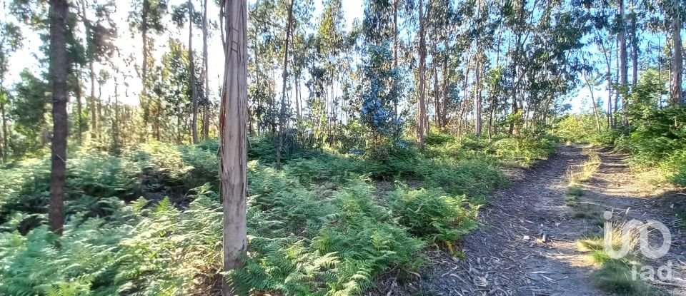 Farm land in Campo E Tamel (São Pedro Fins) of 14,920 m²