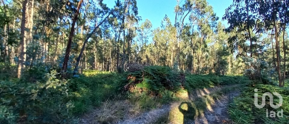 Farm land in Campo E Tamel (São Pedro Fins) of 14,920 m²