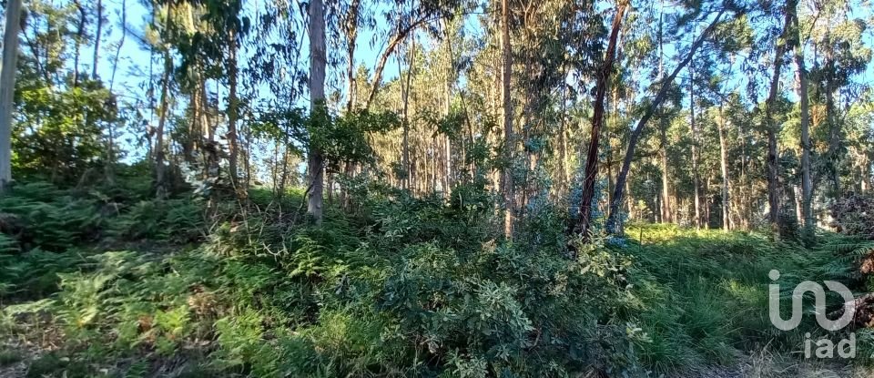 Farm land in Campo E Tamel (São Pedro Fins) of 14,920 m²