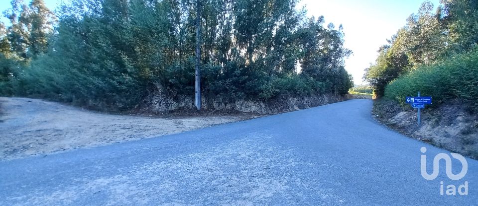 Farm land in Campo E Tamel (São Pedro Fins) of 14,920 m²