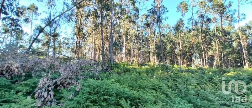 Farm land in Campo E Tamel (São Pedro Fins) of 14,920 m²