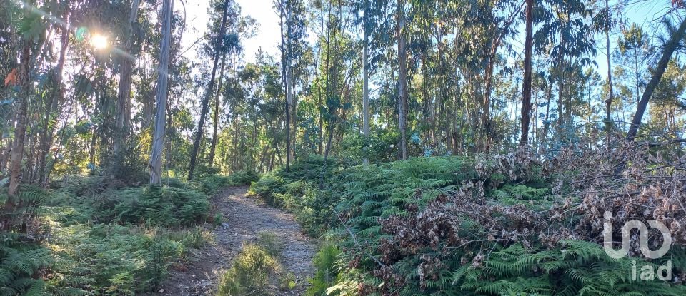 Farm land in Campo E Tamel (São Pedro Fins) of 14,920 m²