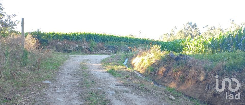 Terreno Agrícola em Campo E Tamel (São Pedro Fins) de 14 920 m²