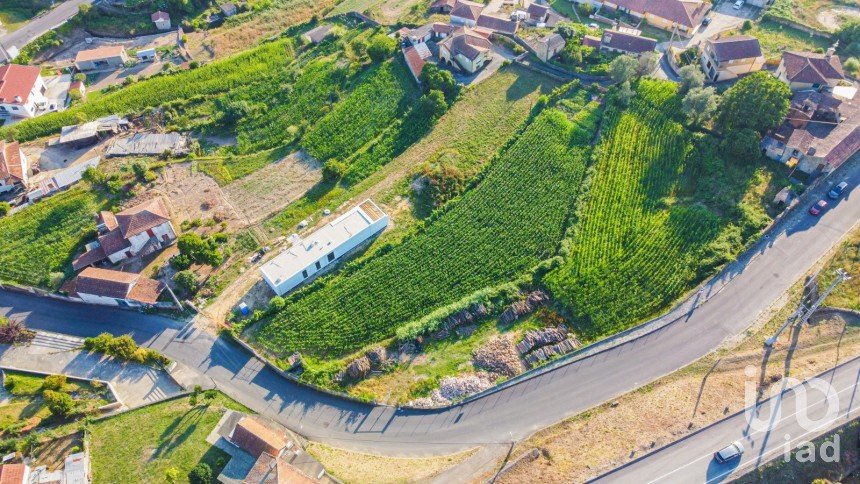 Terrain à bâtir à Pinheiro da Bemposta, Travanca e Palmaz de 2 900 m²