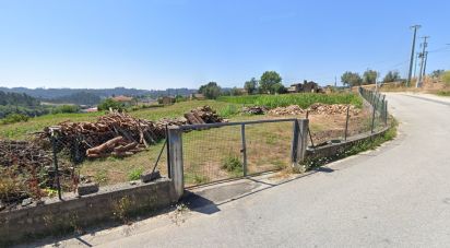 Terreno para construção em Pinheiro da Bemposta, Travanca e Palmaz de 2 900 m²