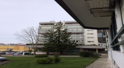 Espaço Comercial em Santo António dos Olivais de 90 m²