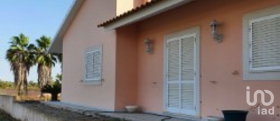 House T3 in Marinhais of 140 m²