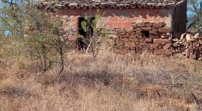 Terrain à bâtir à Cachopo de 3 846 m²