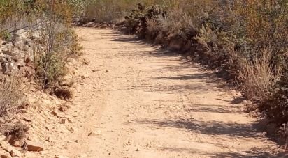 Terrain à bâtir à Cachopo de 3 846 m²