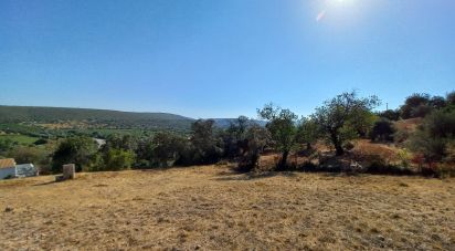 Terrain à bâtir à Querença, Tôr e Benafim de 1 047 m²