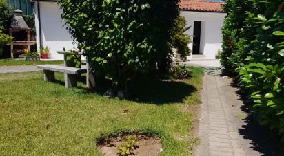 Casa / Villa T3 em Tamel (São Veríssimo) de 206 m²
