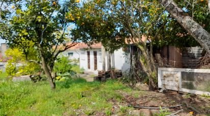 Maison T3 à Alheira E Igreja Nova de 73 m²