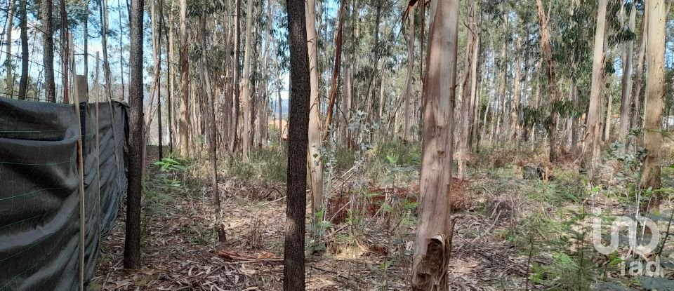 Maison T3 à Alheira E Igreja Nova de 73 m²