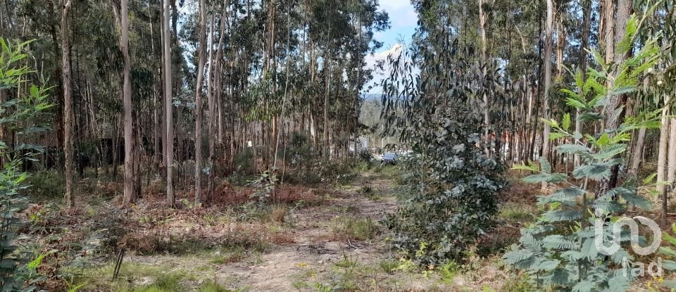 Maison T3 à Alheira E Igreja Nova de 73 m²