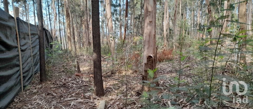 Maison T3 à Alheira E Igreja Nova de 73 m²