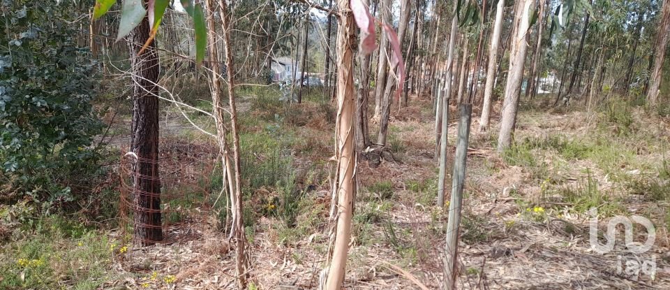 Maison T3 à Alheira E Igreja Nova de 73 m²