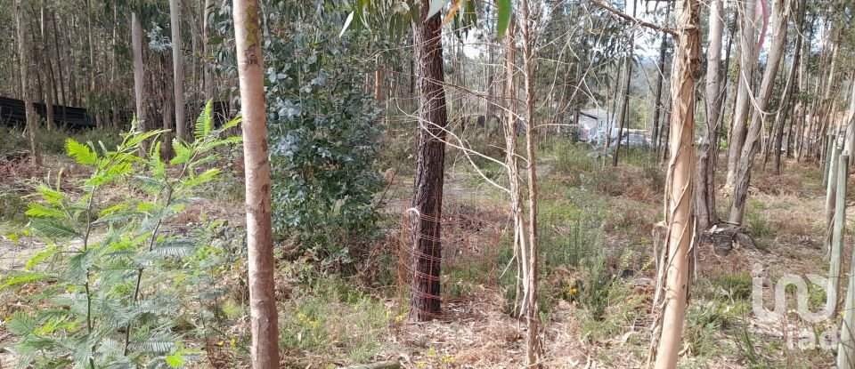 Maison T3 à Alheira E Igreja Nova de 73 m²