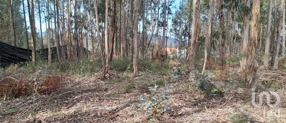 Maison T3 à Alheira E Igreja Nova de 73 m²