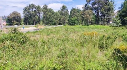 Land in Cerdal of 1,460 m²