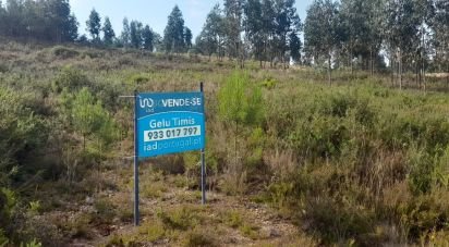 Terrain à Pedrógão Grande de 3 200 m²