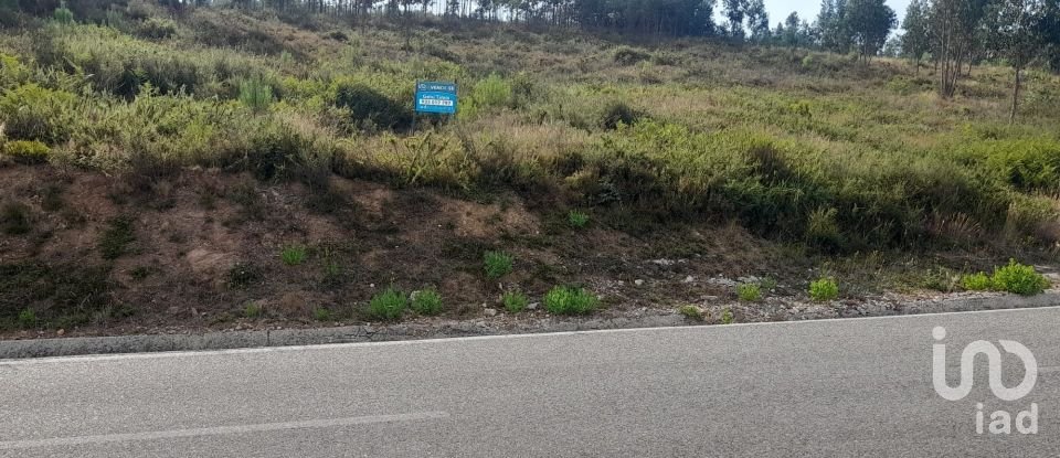 Terreno em Pedrógão Grande de 3 200 m²