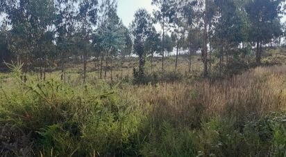 Terrain à Pedrógão Grande de 3 200 m²