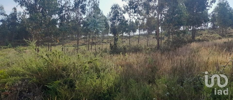 Terreno em Pedrógão Grande de 3 200 m²