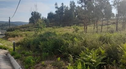 Terrain à Pedrógão Grande de 3 200 m²