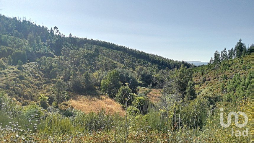 Terreno em Pedrógão Pequeno de 23 757 m²