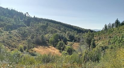 Terrain à Pedrógão Pequeno de 23 757 m²