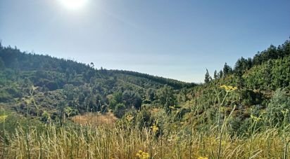 Terrain à Pedrógão Pequeno de 23 757 m²