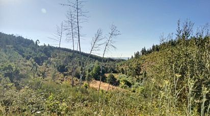 Terrain à Pedrógão Pequeno de 23 757 m²