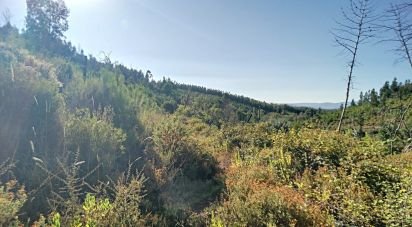 Terrain à Pedrógão Pequeno de 23 757 m²