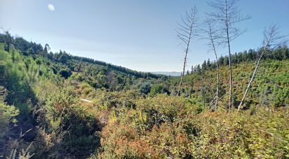 Terrain à Pedrógão Pequeno de 23 757 m²