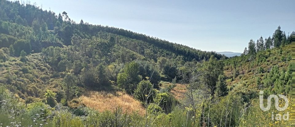 Terreno em Pedrógão Pequeno de 23 757 m²