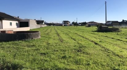 Building land in Amor of 1,045 m²