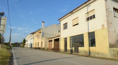 Maison T3 à São Miguel, Santa Eufémia e Rabaçal de 350 m²