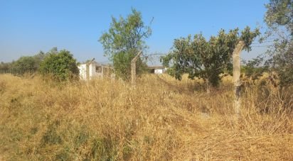 Terrain à Cuba de 2 500 m²