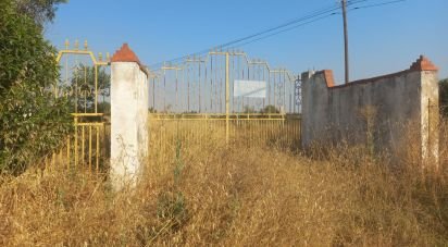 Terrain à Cuba de 2 500 m²