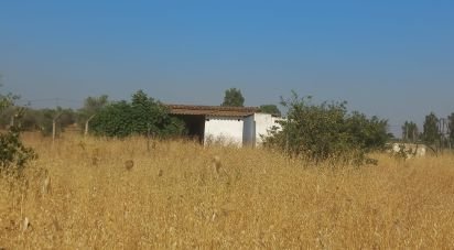 Terrain à Cuba de 2 500 m²