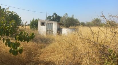 Terrain à Cuba de 2 500 m²