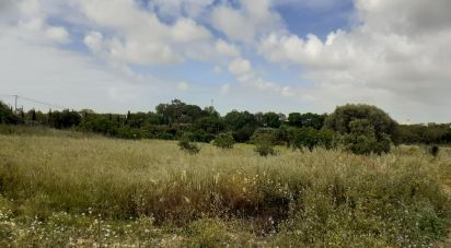 Terrain à bâtir à Tavira (Santa Maria e Santiago) de 31 269 m²