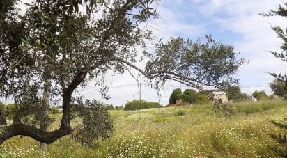 Terrain à bâtir à Tavira (Santa Maria e Santiago) de 31 269 m²