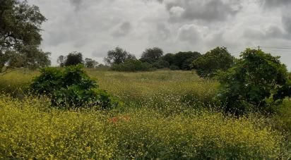 Terrain à bâtir à Tavira (Santa Maria e Santiago) de 31 269 m²