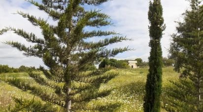 Terrain à bâtir à Tavira (Santa Maria e Santiago) de 31 269 m²