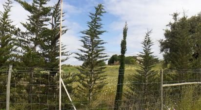 Terrain à bâtir à Tavira (Santa Maria e Santiago) de 31 269 m²