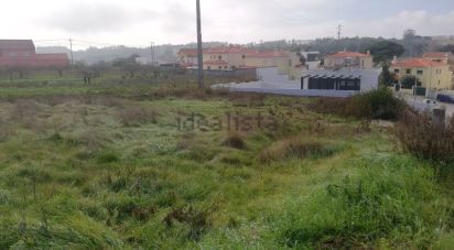 Land in Nadadouro of 661 m²