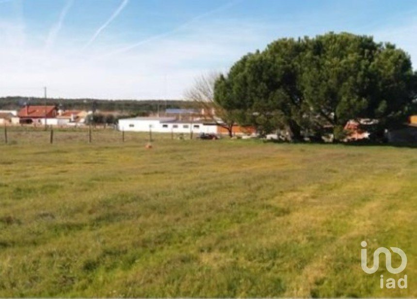 Land in Coruche, Fajarda e Erra of 10,500 m²