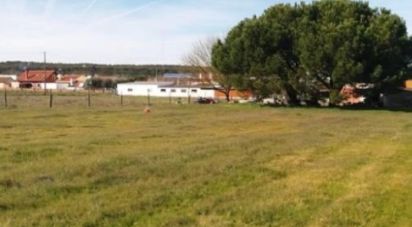 Terreno em Coruche, Fajarda e Erra de 10 500 m²