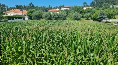 Terrain à Nogueira, Meixedo e Vilar de Murteda de 2 000 m²